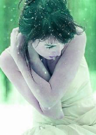 绿雪芽老白茶